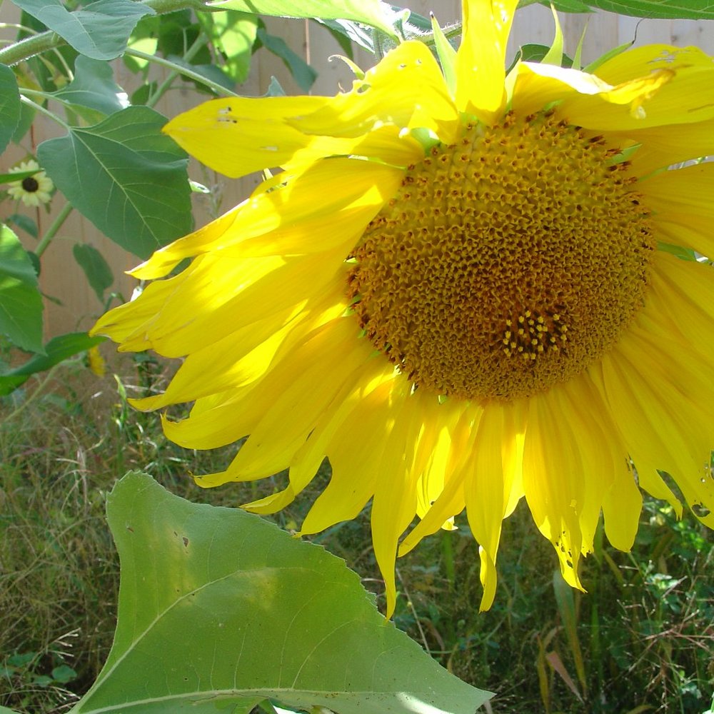 Meet your Posher, Leah